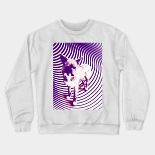 crazy pups Crewneck Sweatshirt